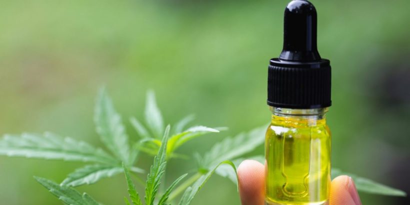 cbd oil